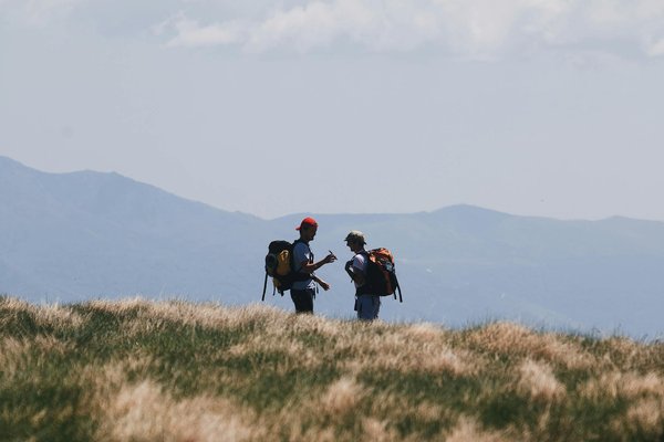Comment planifier une expédition pour observer les orangs-outans à Bornéo?