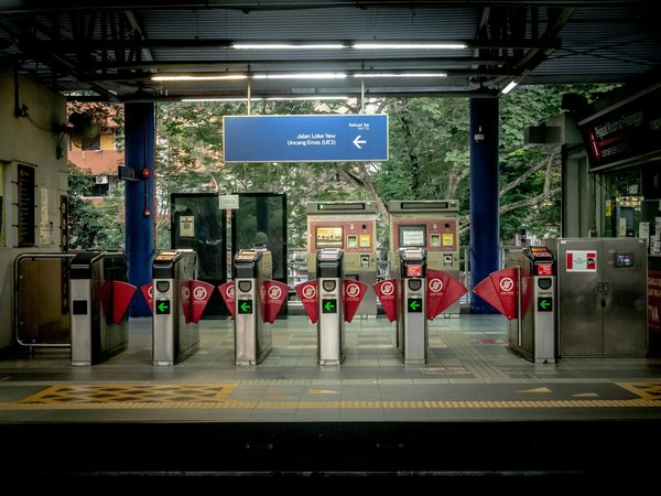 Comment organiser une croisière pour observer les tortues marines en Australie?